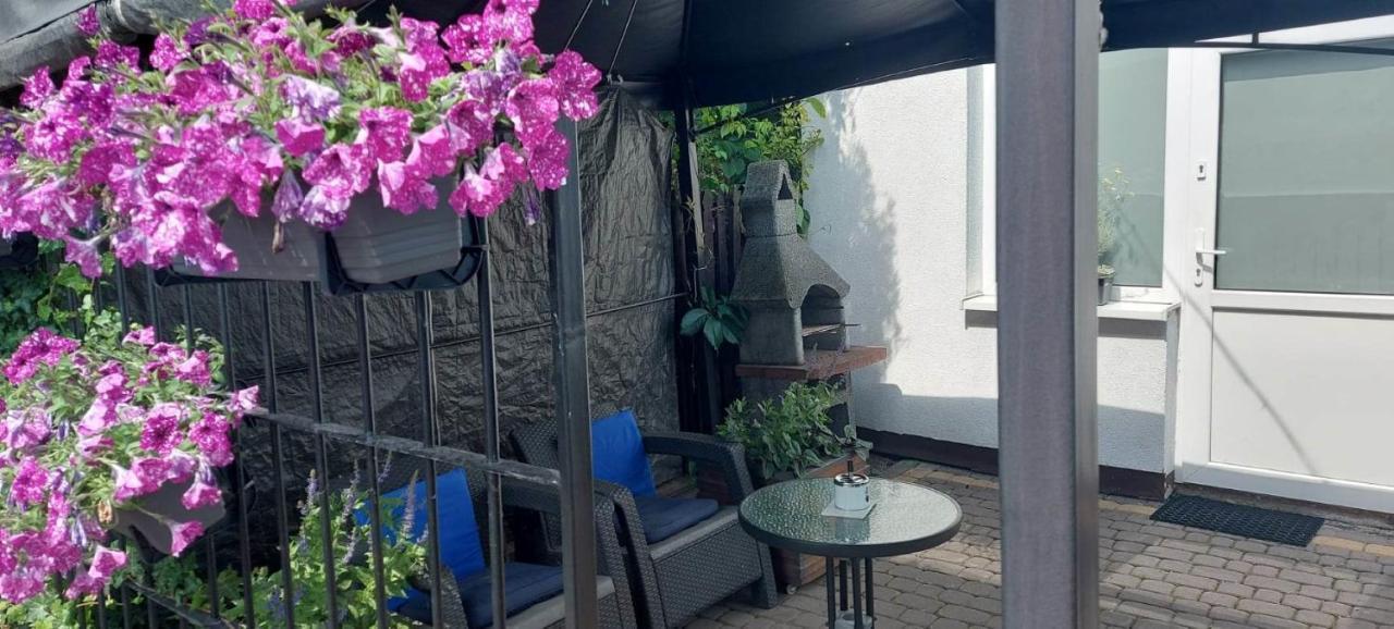 Samodzielny -typu - 35m2 Centrum Ciechanow